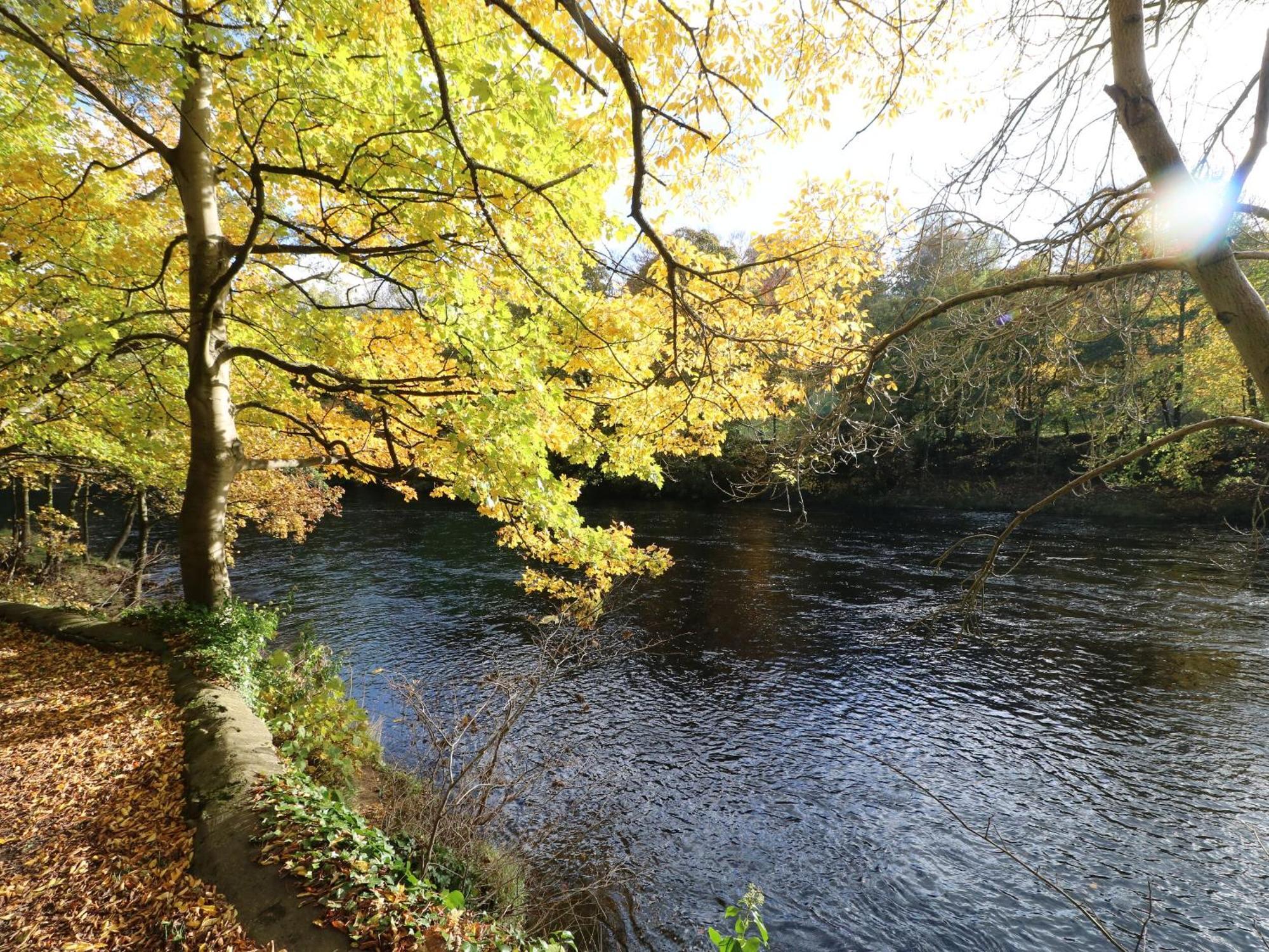 King'S Cottage Crakehall Dış mekan fotoğraf